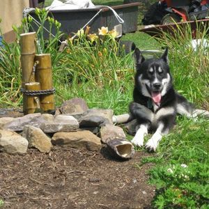 Meet your Posher, Kay